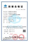Preview of China Explosion-Proof Certificate of Conformity CCRI 24.7313X
