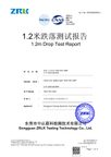 Preview of TN21700-1S6P 24 Ah battery pack 1.2 m drop test report SSP26080559-4
